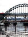 Bridges of the Tyne